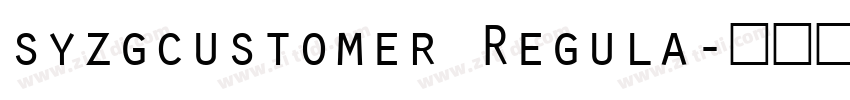 syzgcustomer Regula字体转换